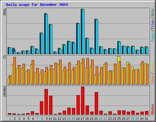 Daily usage for December 2024