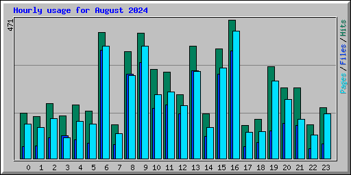 Hourly usage for August 2024