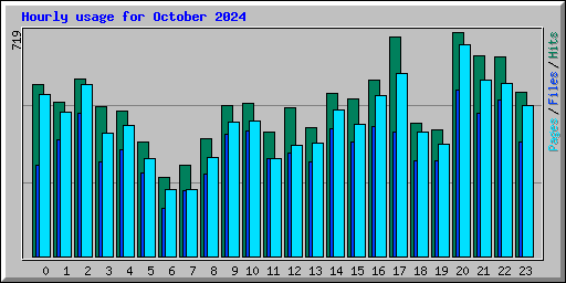 Hourly usage for October 2024