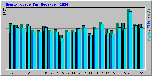 Hourly usage for December 2024