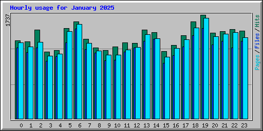 Hourly usage for January 2025