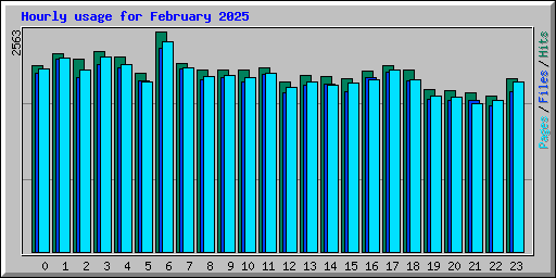 Hourly usage for February 2025