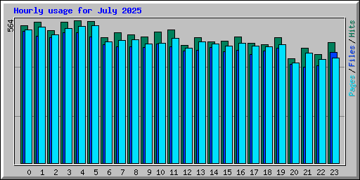 Hourly usage for July 2025