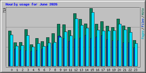 Hourly usage for June 2026