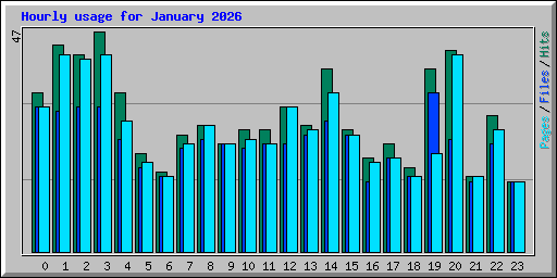 Hourly usage for January 2026